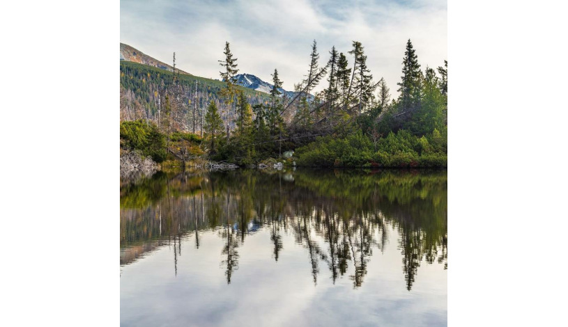 Hotel CROCUS **** Vysoké Tatry